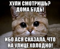 Хули смотришь? Дома будь! Ибо Ася сказала, что на улице холодно!