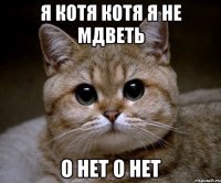 Я котя котя Я не мдветь о нет о нет