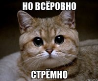 но всёровно СТРЁМНО