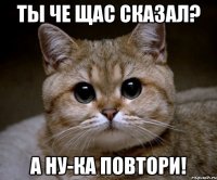 ты че щас сказал? а ну-ка повтори!