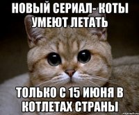 новый сериал- Коты умеют летать Только с 15 июня в котлетах страны