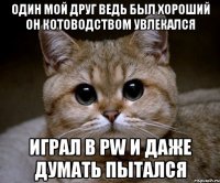 Один мой друг ведь был хороший он котоводством увлекался играл в PW и даже думать пытался