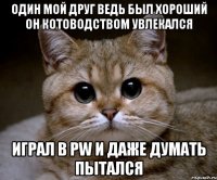 Один мой друг ведь был хороший он котоводством увлекался играл в PW и даже думать пытался