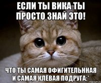 Если ты Вика ты просто знай это! Что ты самая офигительнная и самая клёвая подруга:*