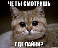 Че ты смотришь ГДЕ ЛАЙКИ?