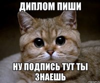 диплом пиши ну подпись тут ты знаешь