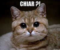 Chiar ?! 