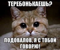 Теребонькаешь? Подовалов, я с тобой говорю!