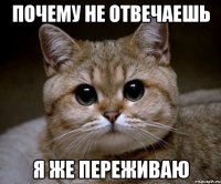 Почему не отвечаешь я же переживаю