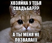 Хозяйка у тебя свадьба??? а ты меня не позвала(((