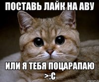 Поставь лайк на аву Или я тебя поцарапаю >:с