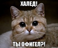 ХАЛЕД! ты офигел?!