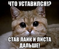 Что уставился!? Став лайк и листа дальше!