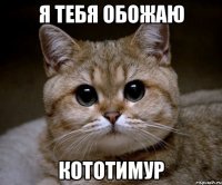 я тебя обожаю кототимур