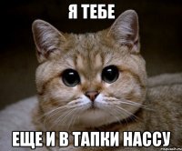 я тебе еще и в тапки нассу