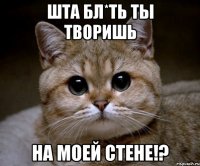 шта бл*ть ты творишь на моей стене!?