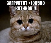 Загрустят +100500 котиков !! 