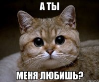 а ты меня любишь?