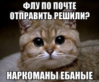 Флу по почте отправить решили? наркоманы ебаные