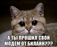  А ты прошил свой модем от Билайн???