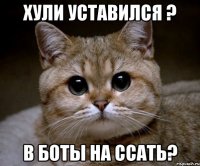 хули уставился ? в боты на ссать?