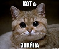 Кот & Знайка