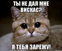 ты не дал мне вискас? Я тебя зарежу!