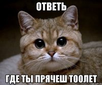 ответь где ты прячеш тоолет