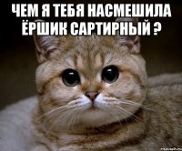 чем я тебя насмешила ёршик сартирный ? 