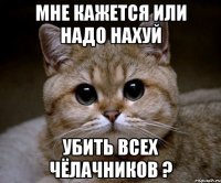 мне кажется или надо нахуй убить всех чёлачников ?