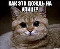 Как это дождь на улице? 