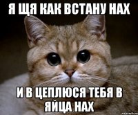 Я щя как встану нах И в цеплюся тебя в яйца нах