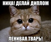 НИКА! ДЕЛАЙ ДИПЛОМ ЛЕНИВАЯ ТВАРЬ!