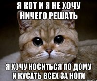 Я кот и я не хочу ничего решать я хочу носиться по дому и кусать всех за ноги