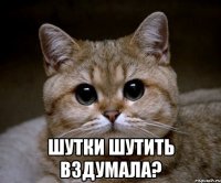  ШУТКИ ШУТИТЬ ВЗДУМАЛА?