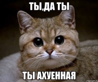 ты,да ты ты ахуенная