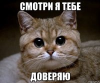 смотри я тебе доверяю