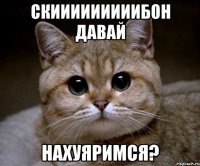 СКИИИИИИИИИБОН ДАВАЙ НАХУЯРИМСЯ?