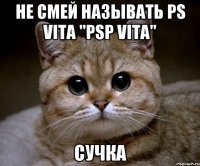 НЕ СМЕЙ НАЗЫВАТЬ PS VITA "PSP VITA" СУЧКА