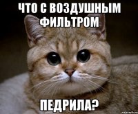 что с воздушным фильтром педрила?