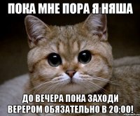 ПОКА МНЕ ПОРА Я НЯША ДО ВЕЧЕРА ПОКА ЗАХОДИ ВЕРЕРОМ ОБЯЗАТЕЛЬНО В 20:00!