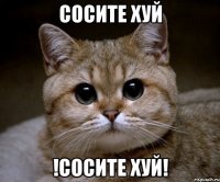 СОСИТЕ ХУЙ !СОСИТЕ ХУЙ!