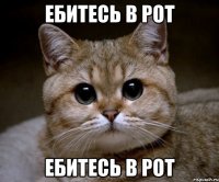 ЕБИТЕСЬ В РОТ ЕБИТЕСЬ В РОТ