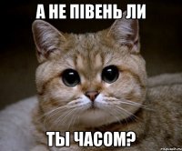 А не півень ли ты часом?