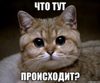 Что тут происходит?