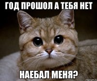 год прошол а тебя нет наебал меня?