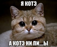 я котэ а котэ ни пи....ы