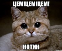 ЦЕМ!ЦЕМ!ЦЕМ! КОТИК