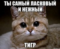 ТЫ САМЫЙ ЛАСКОВЫЙ И НЕЖНЫЙ ТИГР