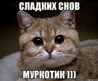 СЛАДКИХ СНОВ МУРКОТИК )))